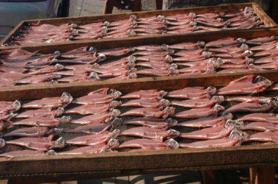 天日干し　あじ