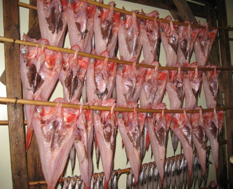 きんき（あかじ）