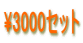 \3000セット