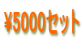 \5000セット